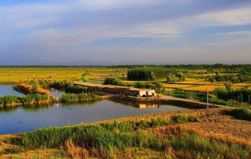 新疆這5處國家級試點濕地公園通過驗收,快為你家鄉的美點個贊