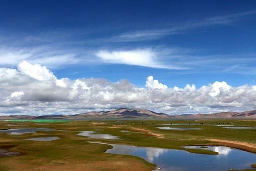 人間禁地可可西里 新疆環(huán)保的挑戰(zhàn)與守護