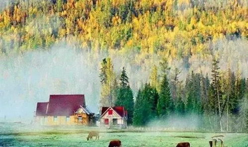 新疆15處美景上榜，生態(tài)保護(hù)與旅游發(fā)展相得益彰